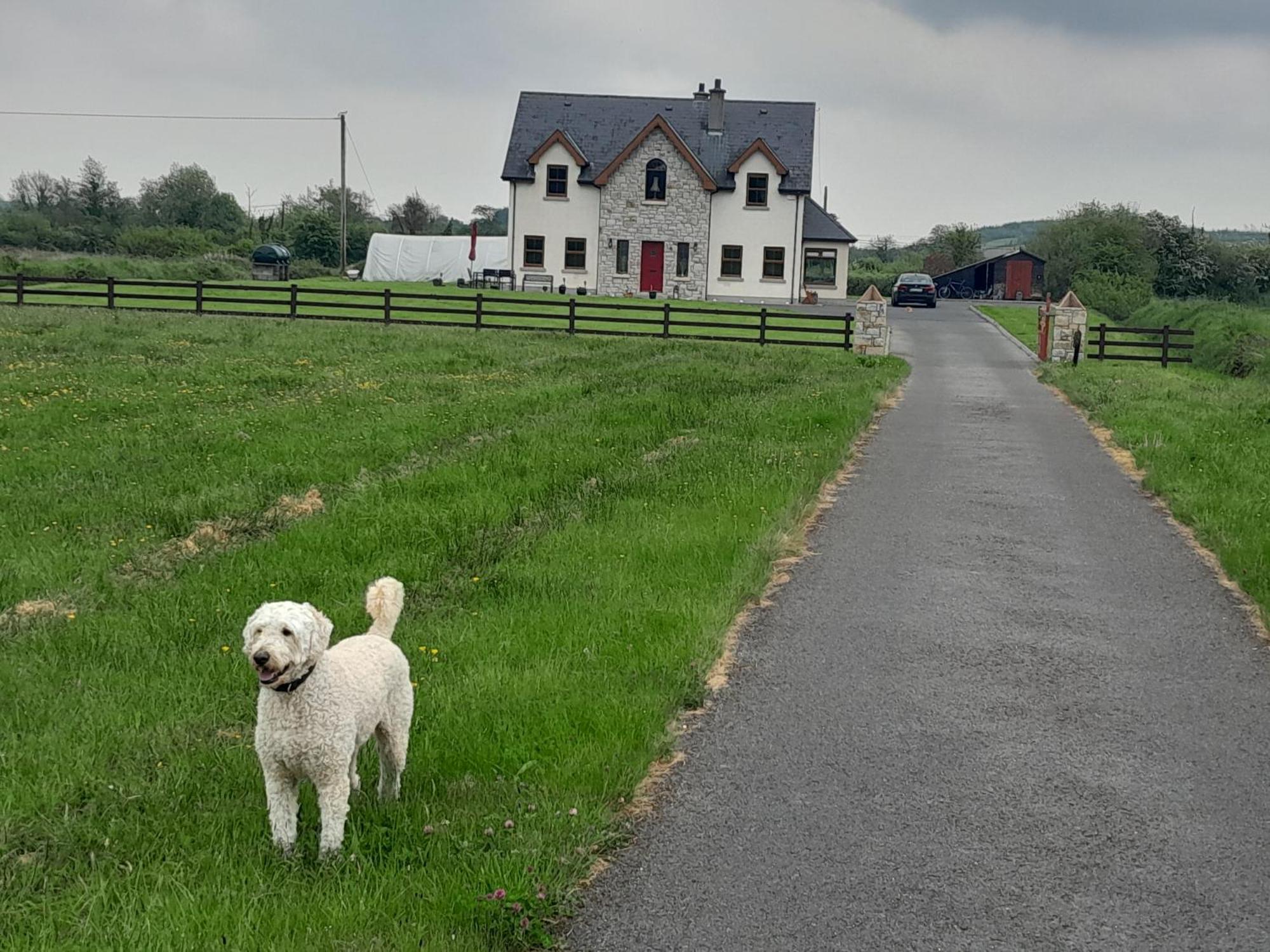 Nature'S Rest Carrick on Shannon Esterno foto