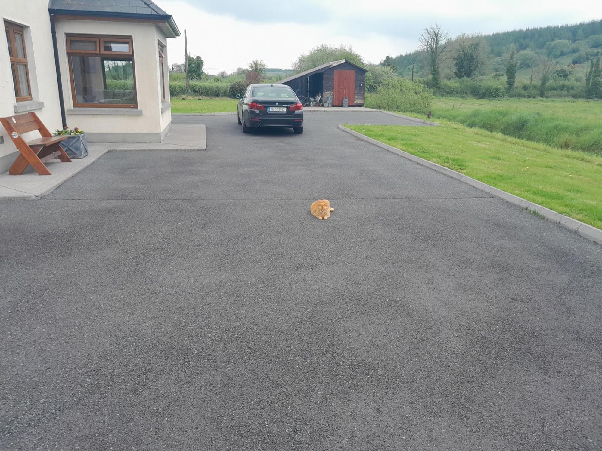 Nature'S Rest Carrick on Shannon Esterno foto